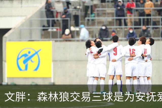 文胖：森林狼交易三球是为安抚爱德华兹 他一赛季被包夹近1000次