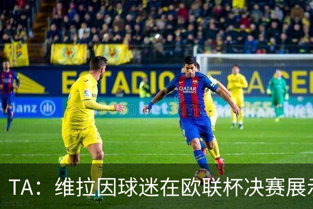 TA：维拉因球迷在欧联杯决赛展示歧视性横幅，被罚款1万欧元
